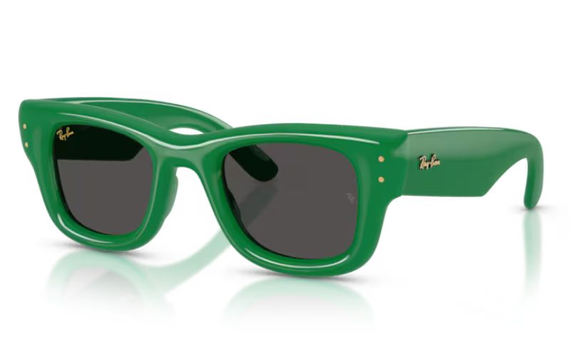 RAY-BAN WAYFERER PUFFER