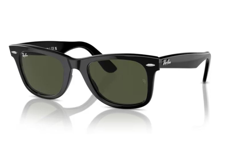 RAY-BAN WAYFERER BLACK -TRY ON