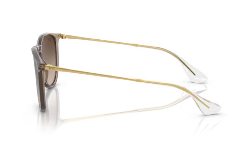 RAY BAN ERIKA
