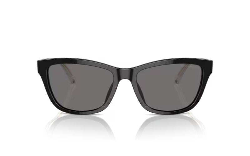 EMPORIO ARMANI  4227 POLARIZED