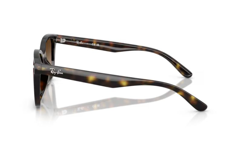 RAY BAN 4461