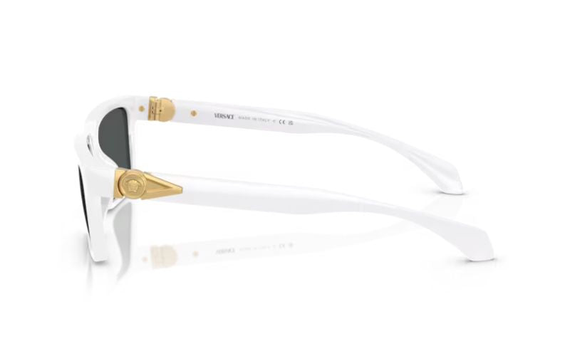 VERSACE 4490