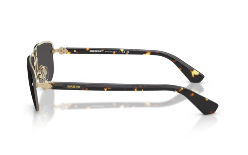 BURBERRY   3164