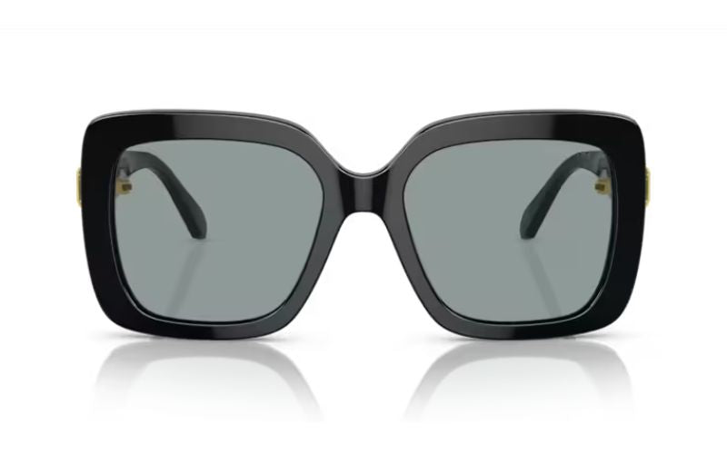 SWAROVSKI 6001