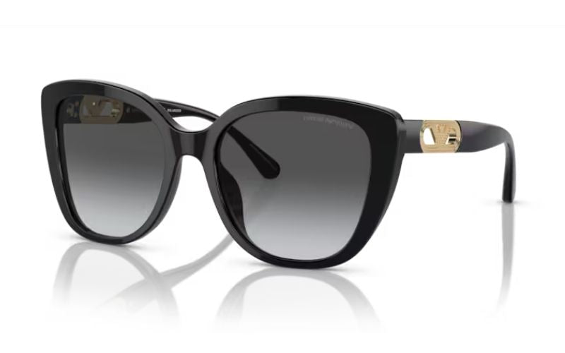 EMPORIO ARMANI 4214 POLARIZED -TRY ON